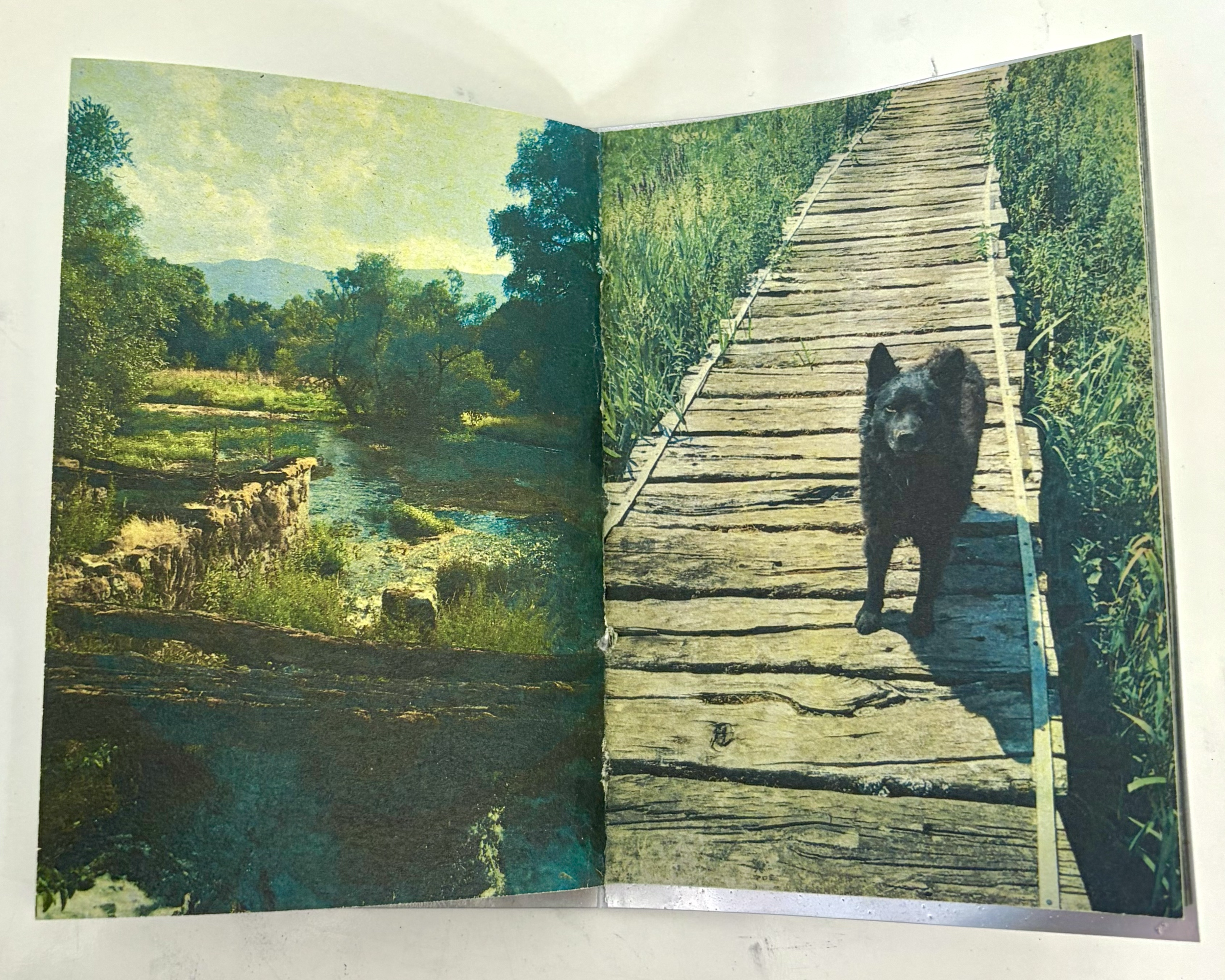 OTIŠAO, 2025. Xerox printed pamphlet stitched paper zine with spray painted yupo cover (4/4)