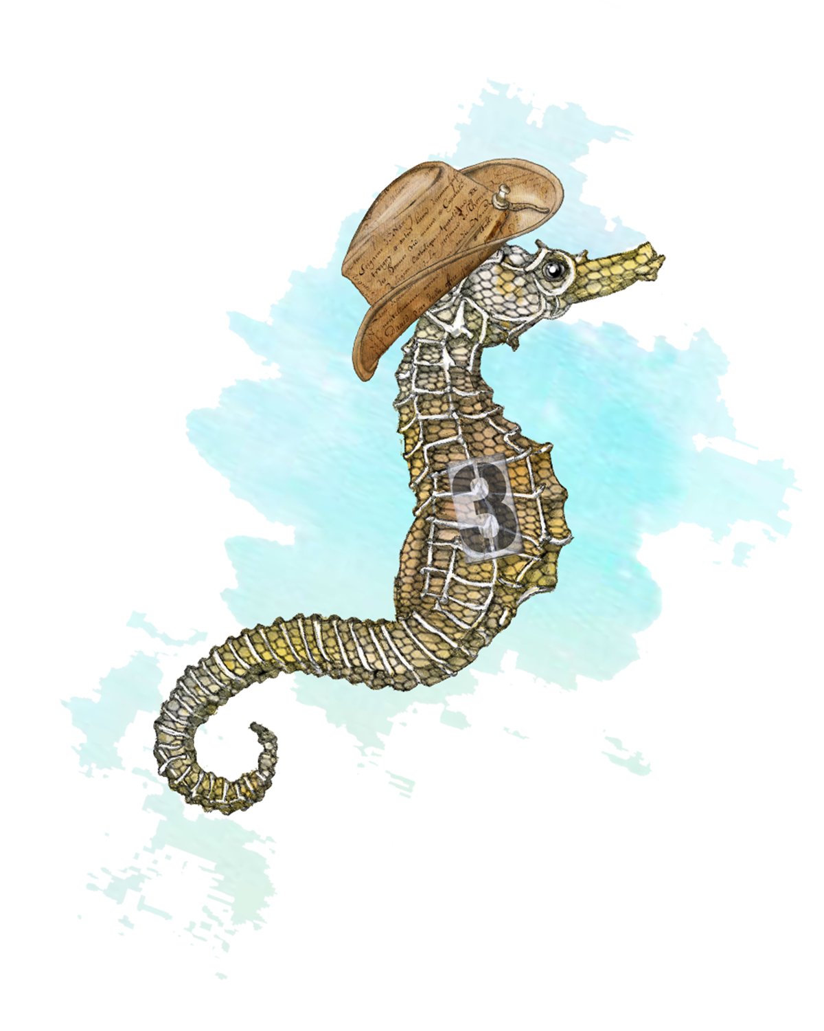 A seahorse with a cowboy hat and a numbered tag on its body, swimming in water.