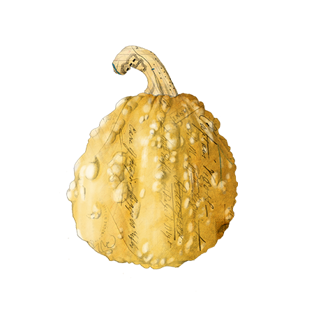 A vintage style illustration of a small yellow pumpkin with handwritten text overlay.