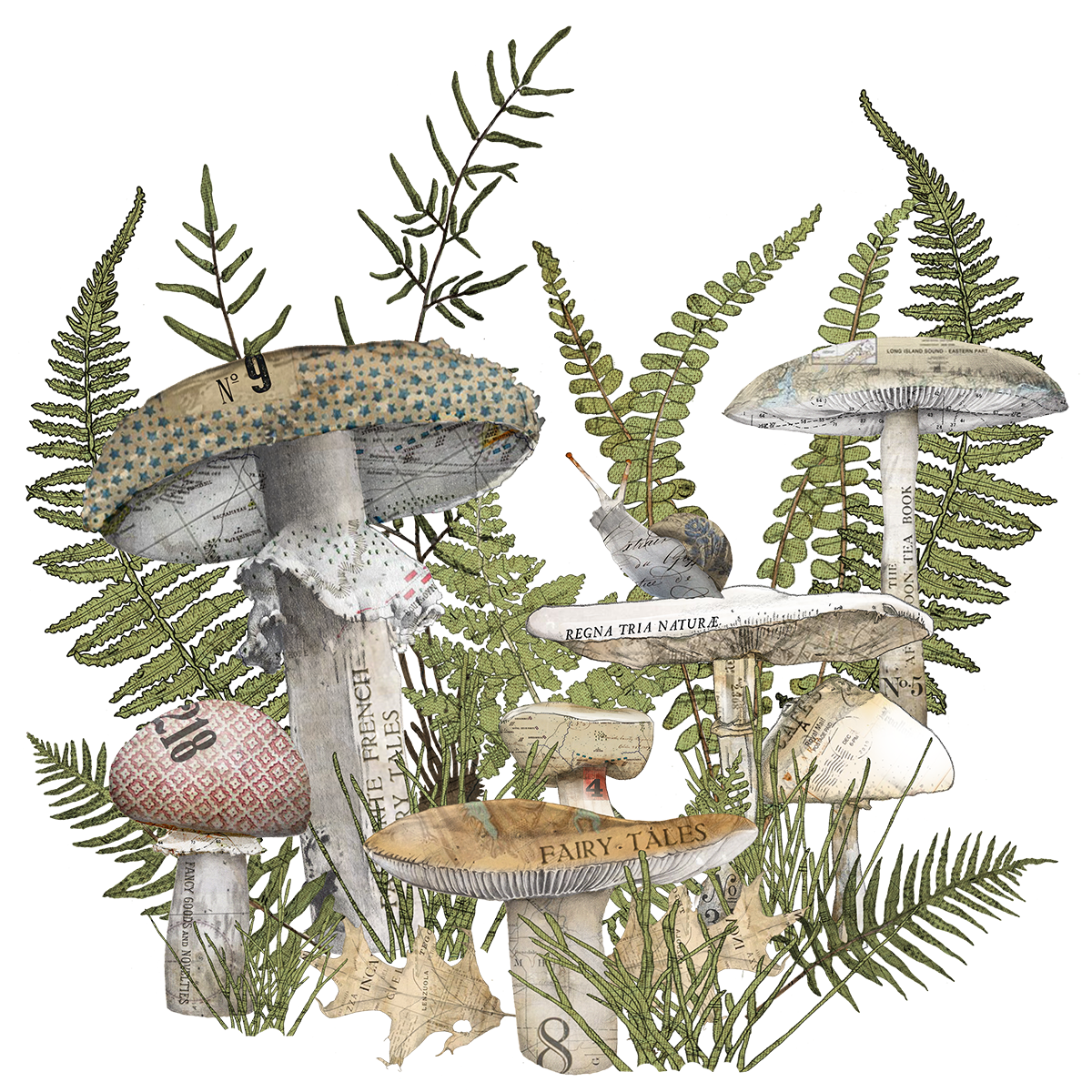 Collage of mushrooms and ferns with vintage text and patterns.