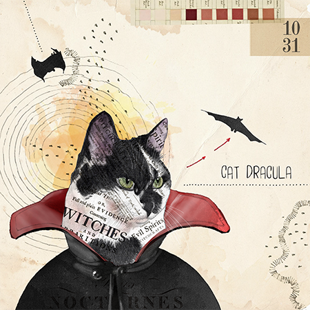 A collage illustration of a black and white cat , resembling a vampire, with a red cape and a bat flying nearby labeled "Cat Dracula."