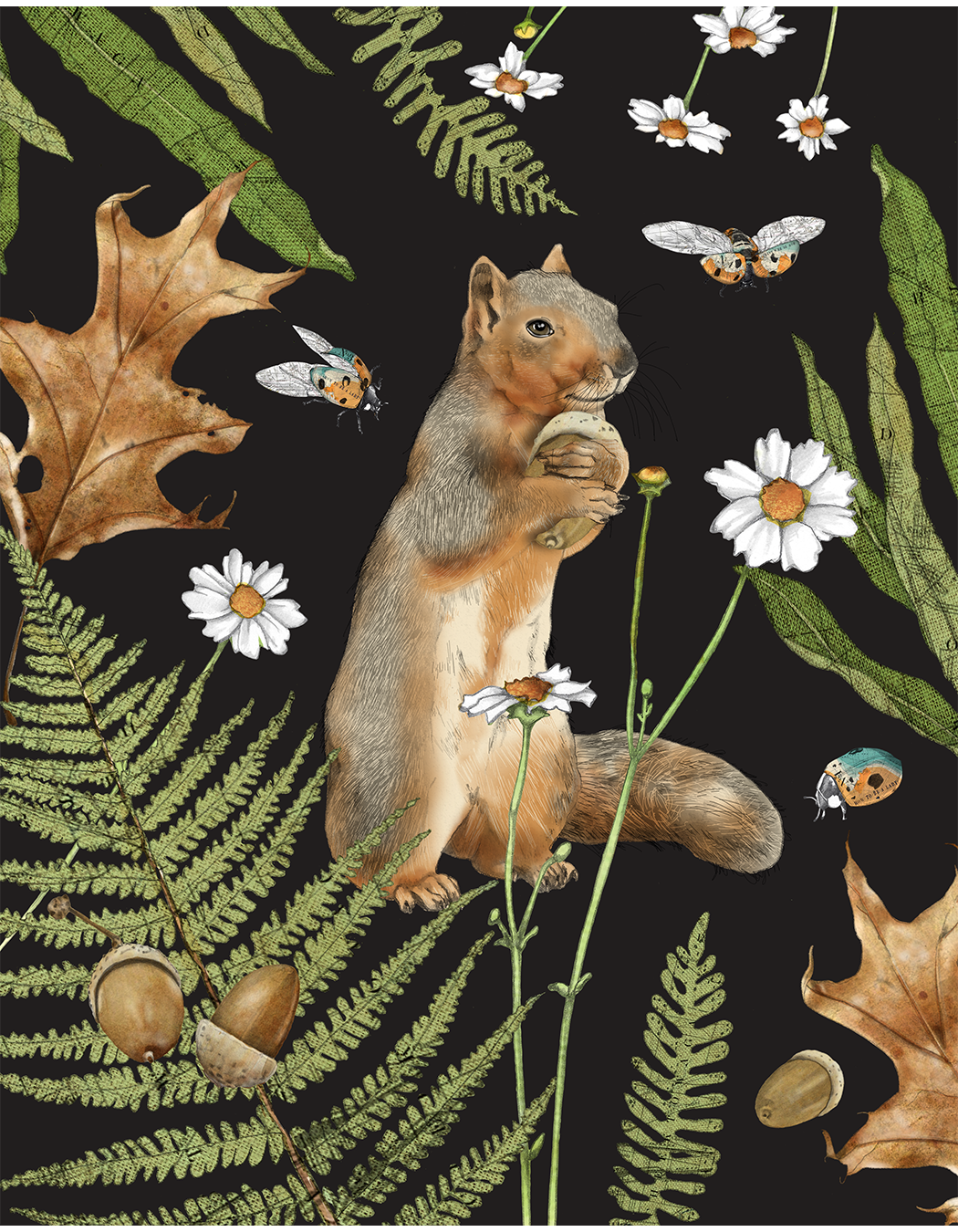 Illustration of a squirrel holding an acorn surrounded by ferns, daisies, fallen leaves, acorns, and bees on a black background.
