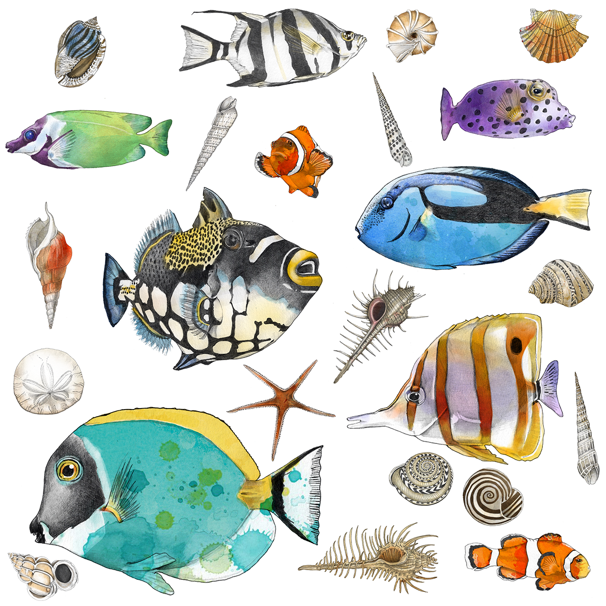 An illustration of various colorful underwater sea creatures, including different types of fish, shells, starfish, and sea urchins.
