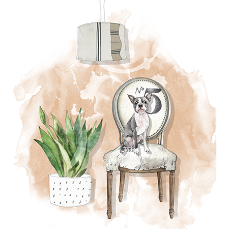 Watercolor illustration of a living room corner with a potted green plant, a vintage-style chair with a Boston Terrier dog sitting on it, and a modern hanging lamp.