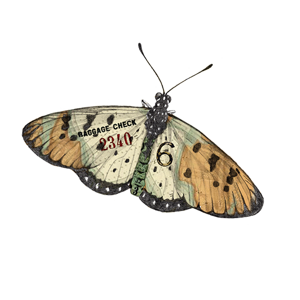 Illustration of a butterfly with text 'Baggage Check 2310' and numbers '6' and '4' on its wings.