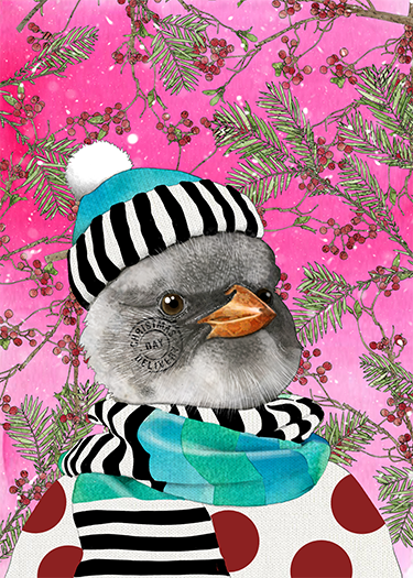 A bird wearing a blue winter hat with a white pompom, a striped black and white scarf, and a blue and green striped garment, set against a pink background with green pine branches and red berries.