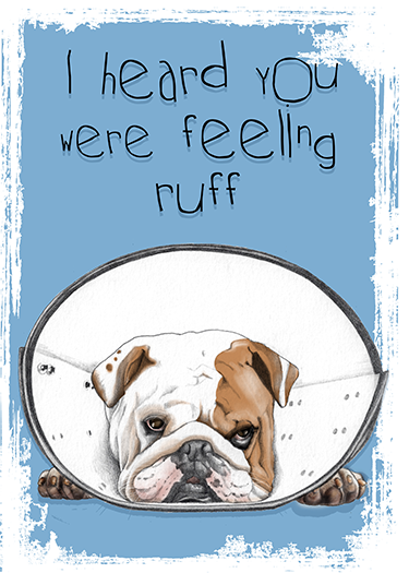 A cute illustration of a sad bulldog dog lying down with a sad expression, inside a dog cone of shame. The background is blue, and above the dog, there is text that reads, 'I heard you were feeling ruff.'