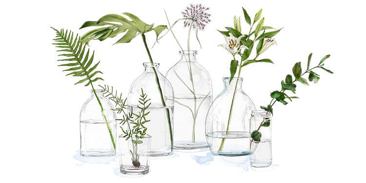 Various clear glass bottles and vases with green plants and white flowers on a surface.