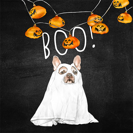 A dog dressed as a ghost in front of a black background with pumpkin string lights and the word 'BOO!' written.