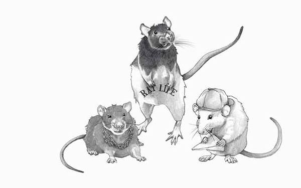 Illustration of three rats, one standing wearing a shirt with 'Rat Life' printed, another sitting with a necklace, and the third wearing a cap and writing with a pencil.