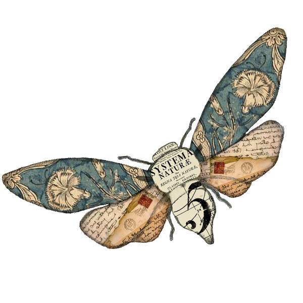 Decorative artwork featuring a butterfly with vintage-style wings, adorned with botanical and handwritten elements, and a central circular label with text.
