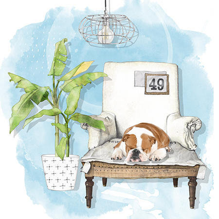 A dog sleeping on a vintage armchair in a cozy room with a potted plant, a hanging light fixture.