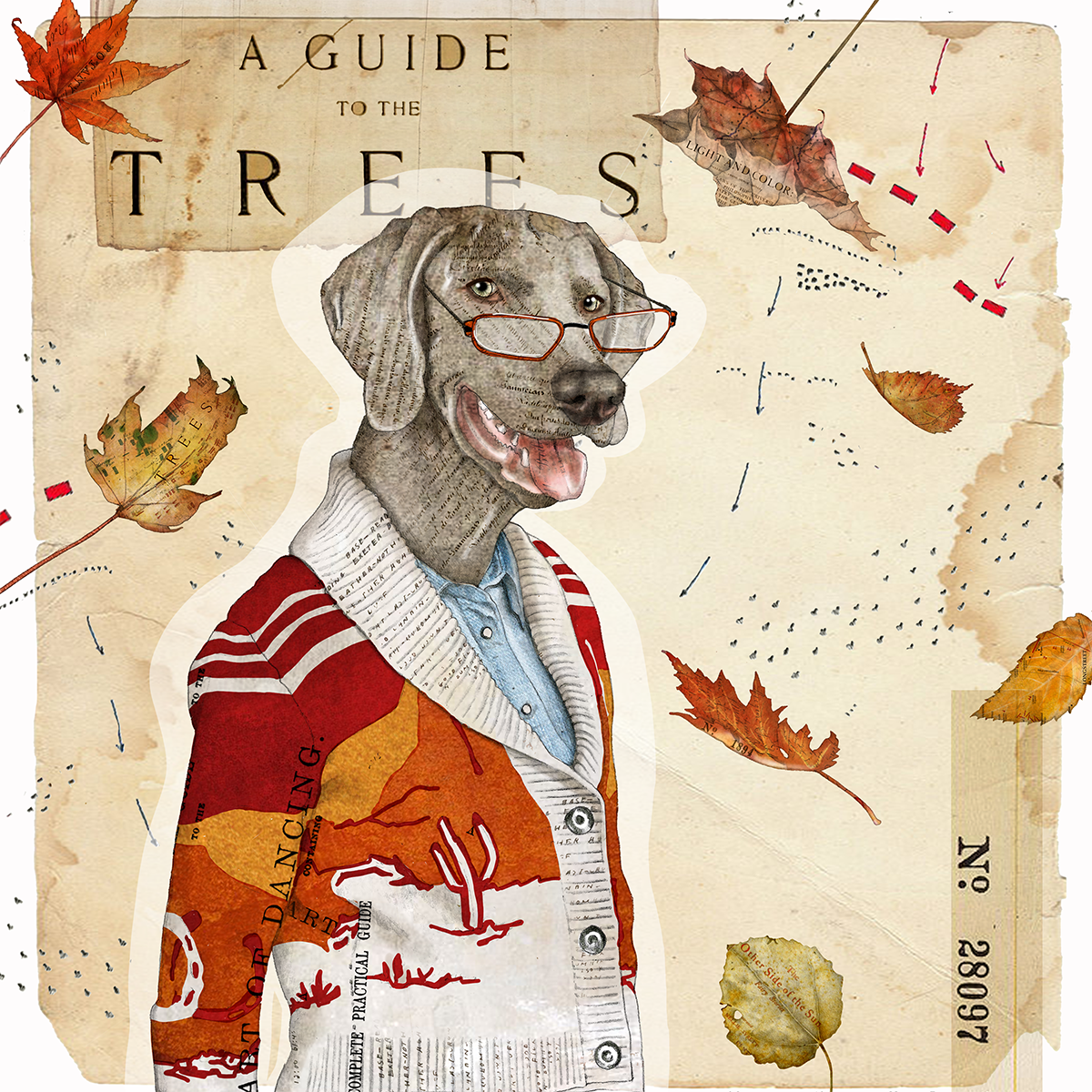 An illustrated guidebook cover titled 'A Guide to the Trees' with floating autumn leaves and a dog wearing glasses and a red and white jacket.