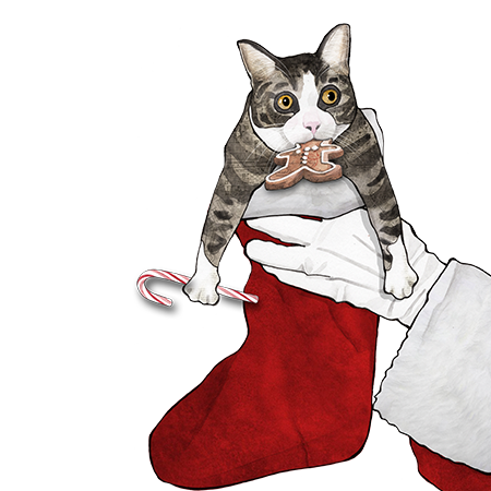 A cat with wide eyes holding a cookie in its mouth, being held in a person's hand over a Christmas stocking.