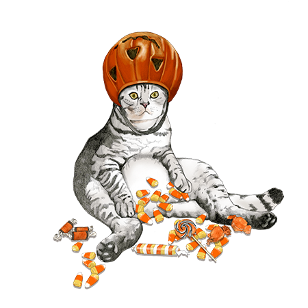 Gray tabby cat wearing a carved pumpkin as a hat, surrounded by scattered orange candy corn and Halloween-themed treats.