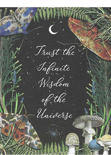 Night sky with stars, moon, surrounded by green ferns, leaves, butterflies, mushrooms, and an insect, with the quote "Trust the Infinite Wisdom of the Universe" in the center.