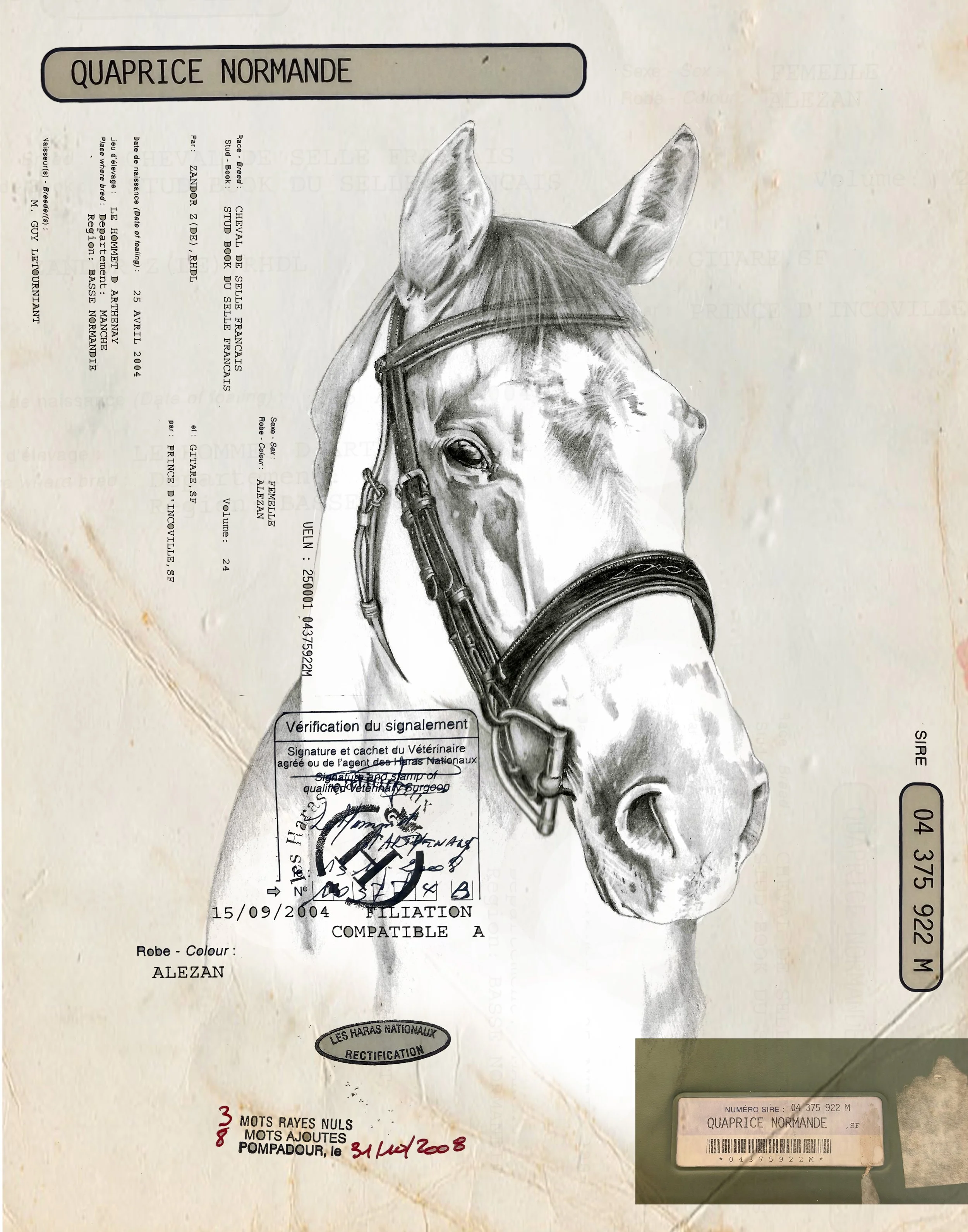 Custom Horse Portraits