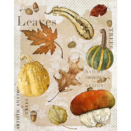 Collection of autumn leaves, pumpkins, gourds, a squash, acorns,  on a decorative background.