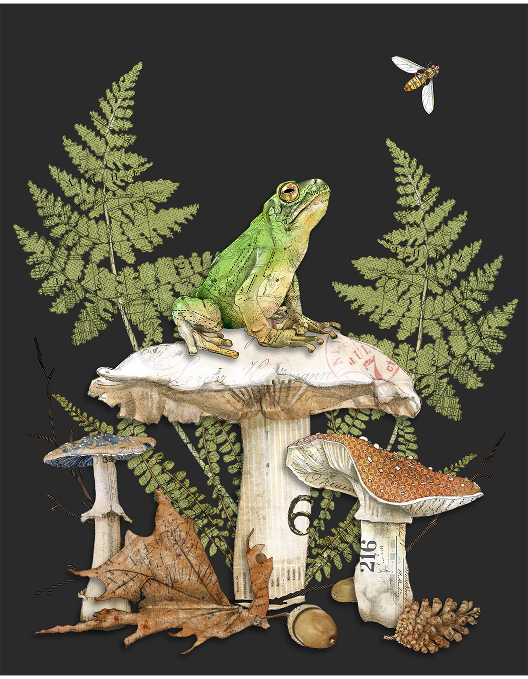 A collage of nature elements including a green frog sitting on a mushroom, two ferns, a small mushroom, a pinecone, acorns, a leaf, and a bee flying above, all set against a black background.