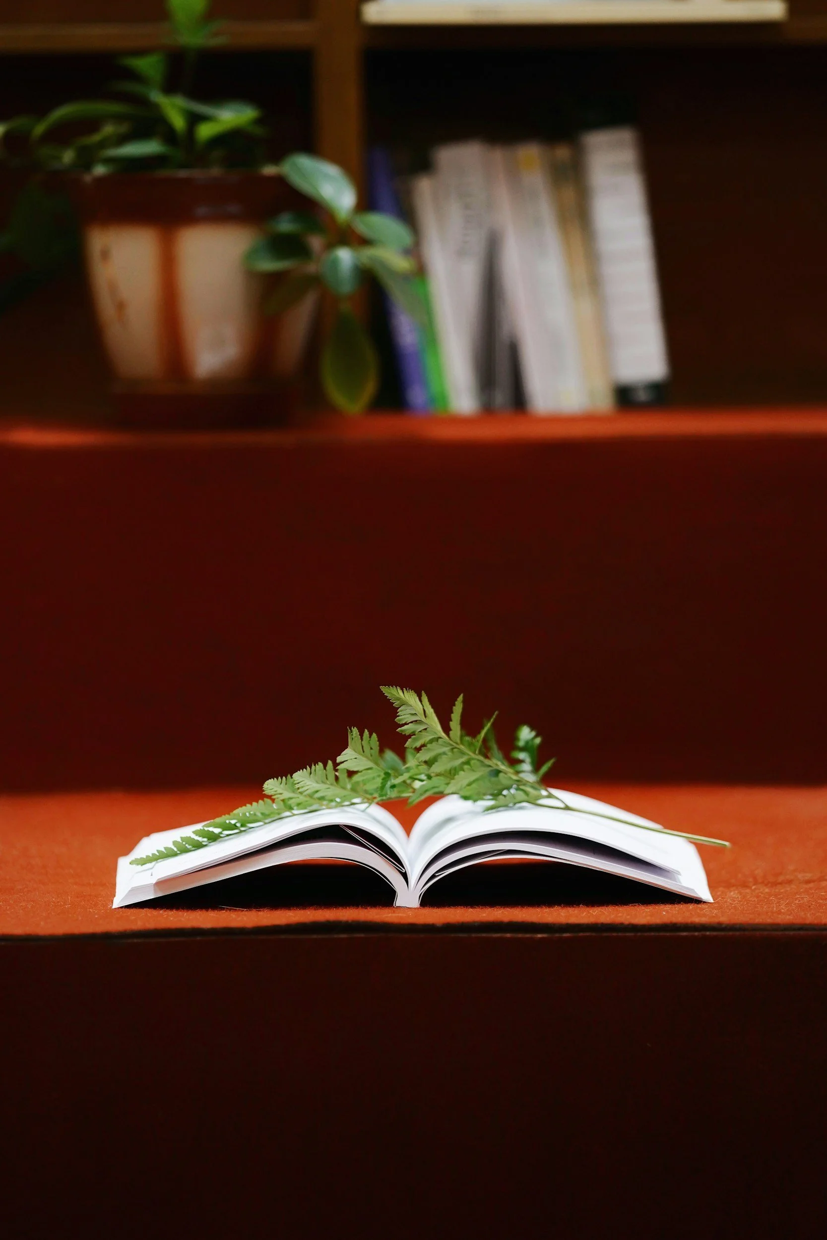 Open book with a fern leaf on top, placed on an red surface with a blurred bookshelf and potted plant in the background.