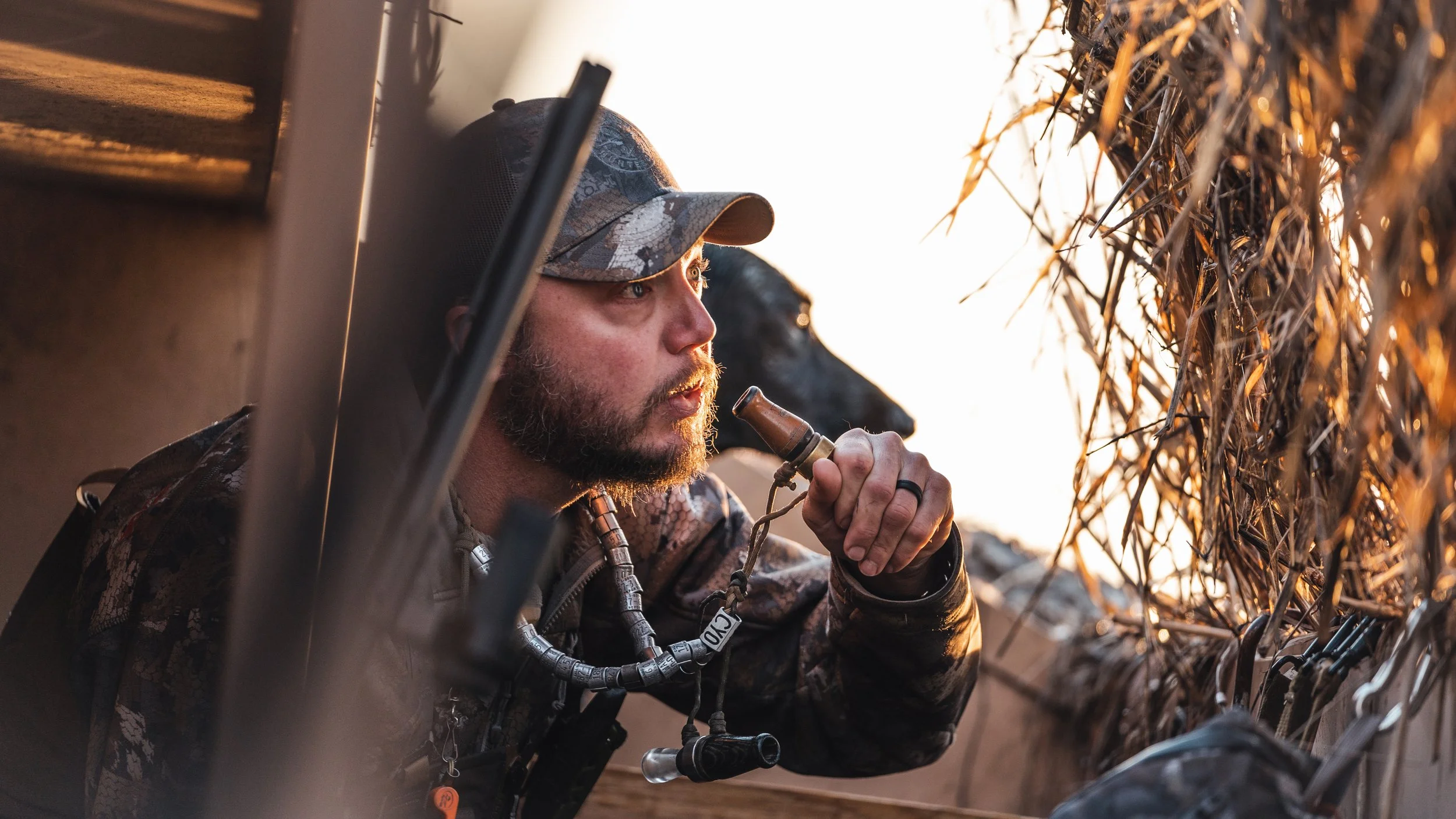 Man in camouflage clothing and hat, holding a drinking bottle, resting in a hunting blind at sunrise, with a hunting dog outside the blind.