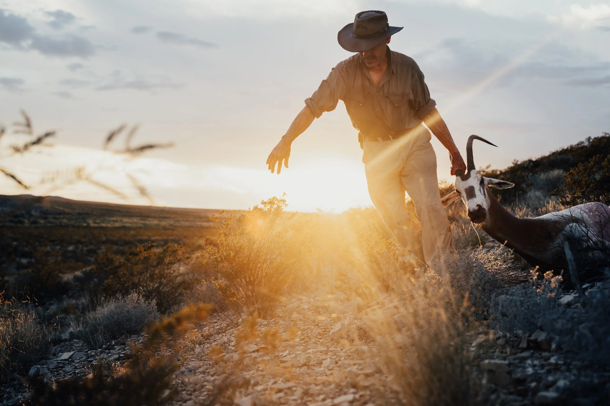 A man wearing a wide-brimmed hat and khaki clothing herds a goat in a landscape with shrubbery during sunset.
