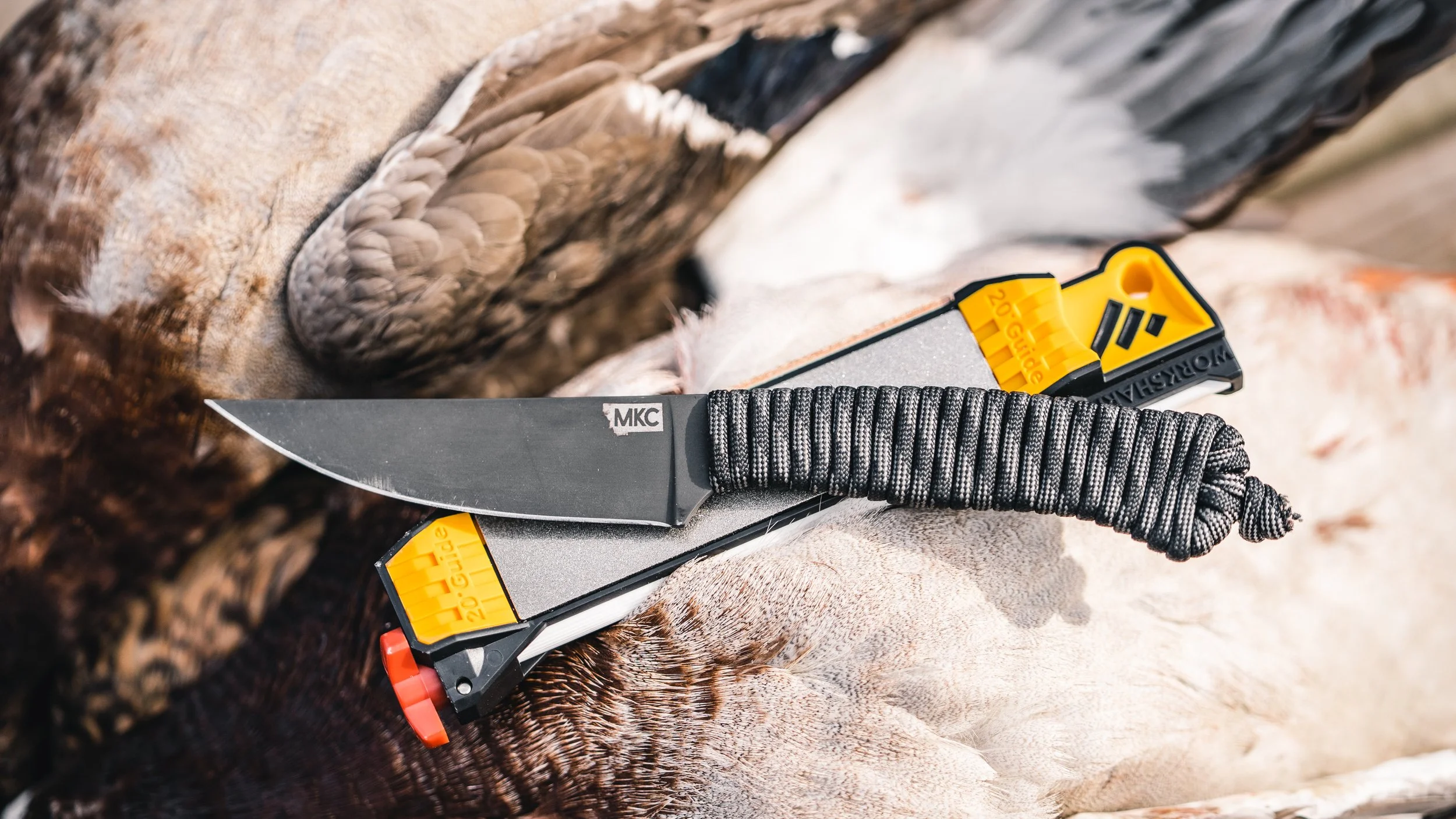 A survival knife with a black blade and a textured black handle resting on a fish with its skin and fins visible.