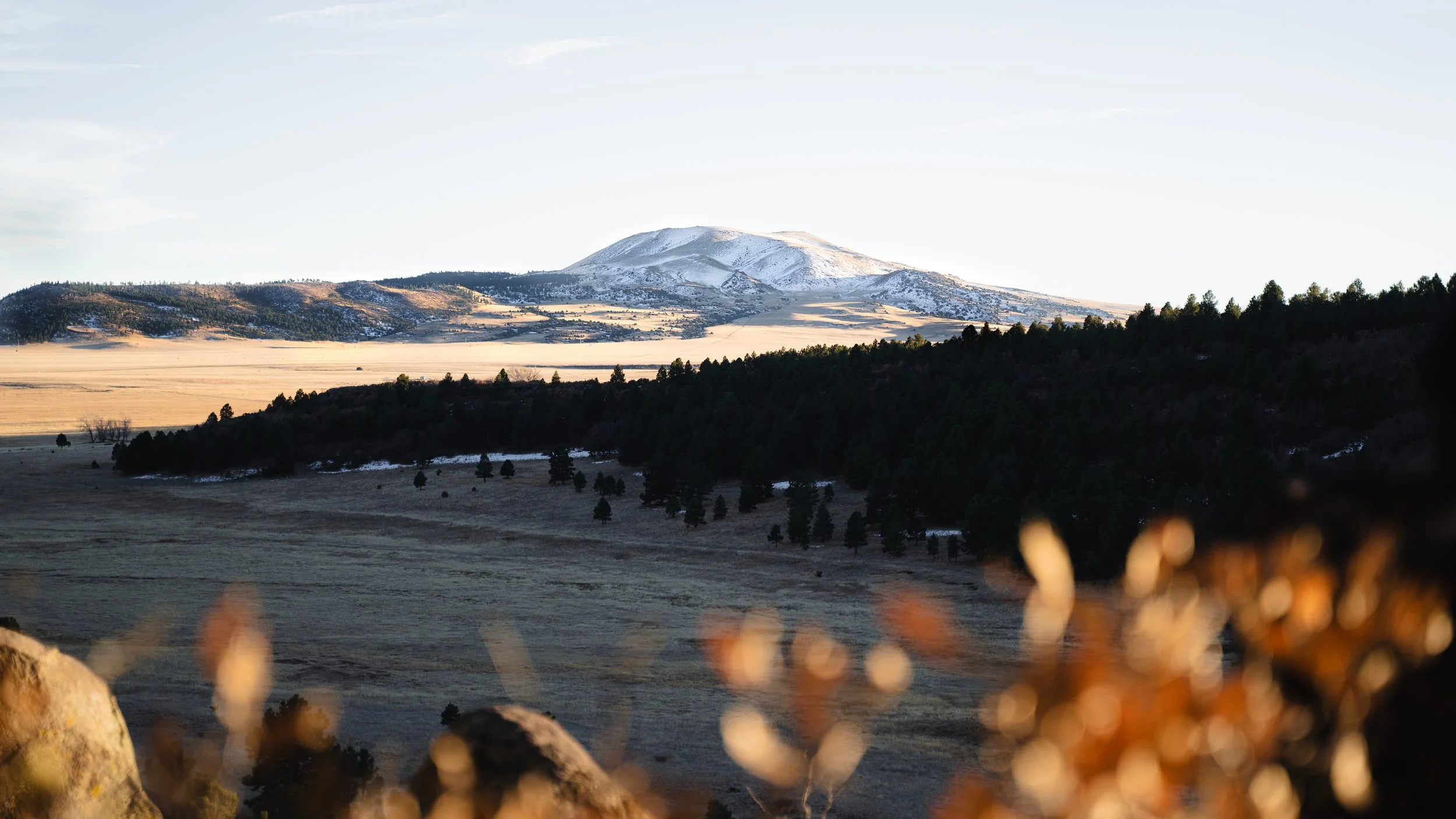 Scenic landscape of snow-capped mountains in the distance, rolling hills, and forested terrain in the foreground during daytime.