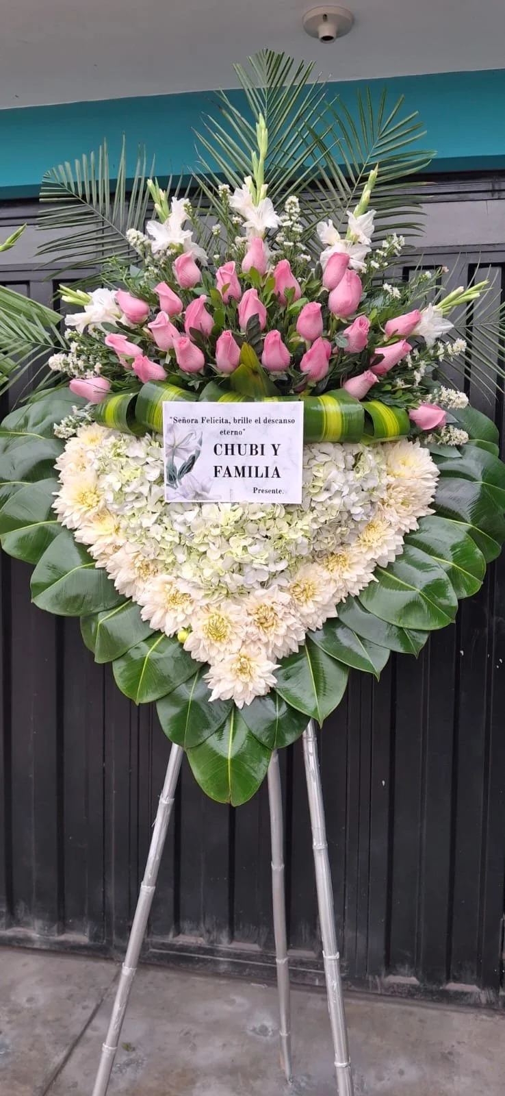 WhatsApp Image 2026-02-10 at 10.22.47 AM.jpeg