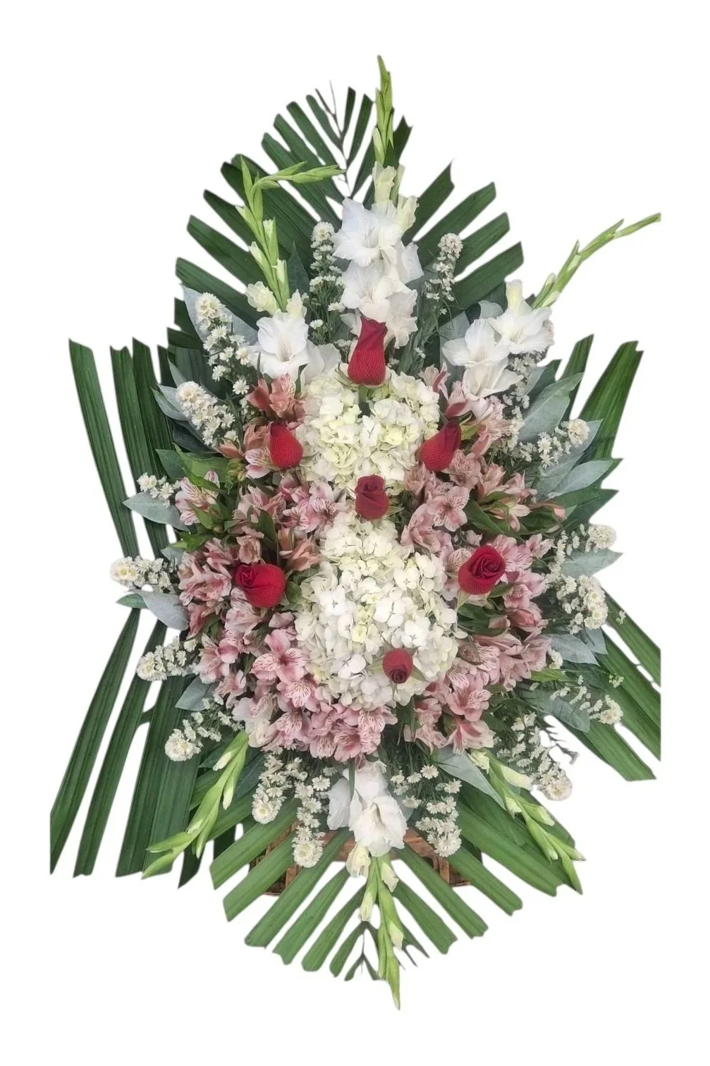 Lagrimas de Gladiolos s/60.00