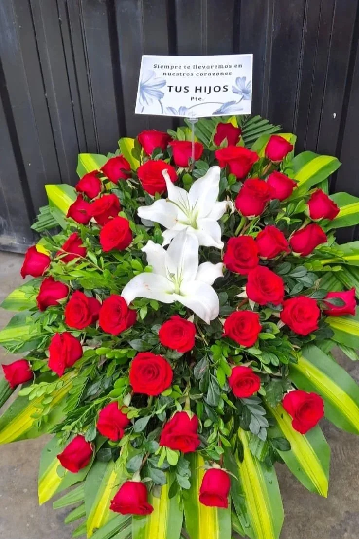 Mantos Fúnebres s/150.00