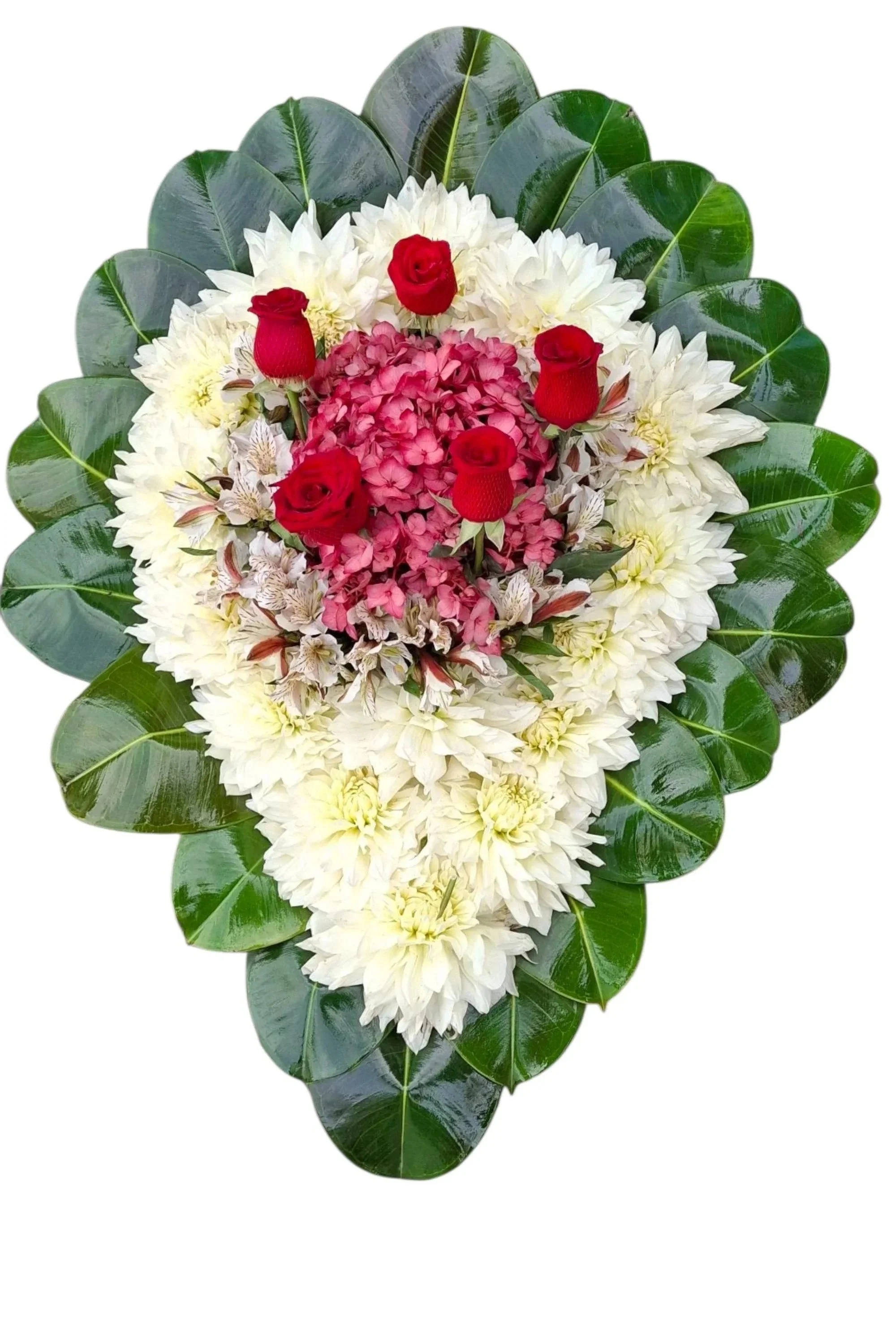 Lagrimas de Hortensia s/40.00