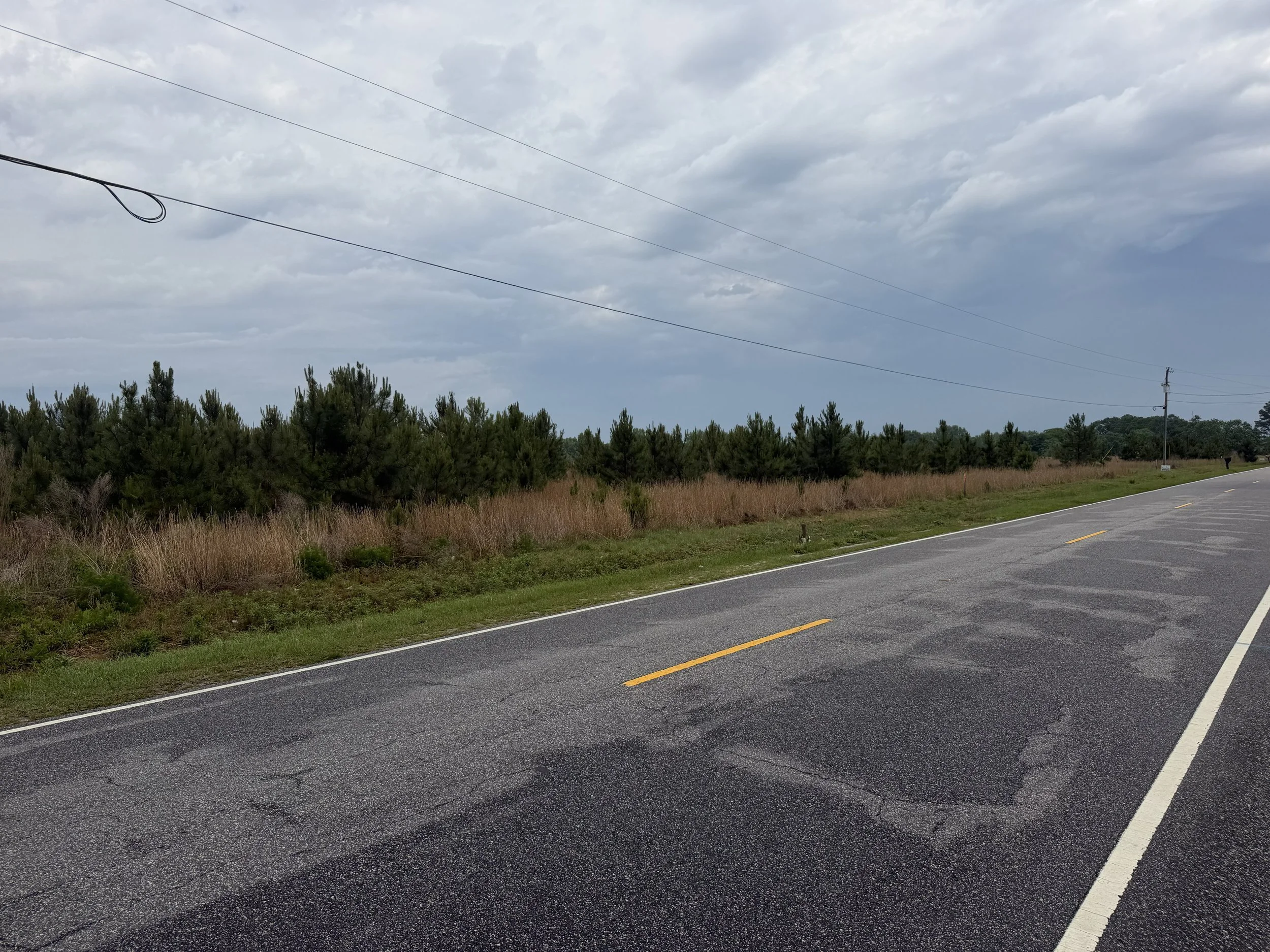 IMG_4470 fairly rd 8.jpg