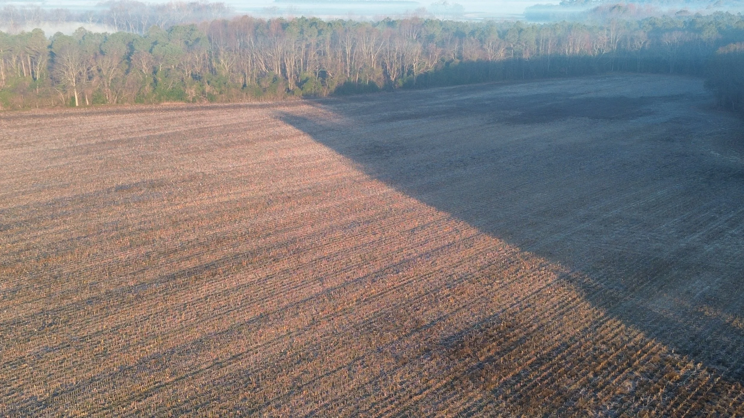 DJI_0344.JPG