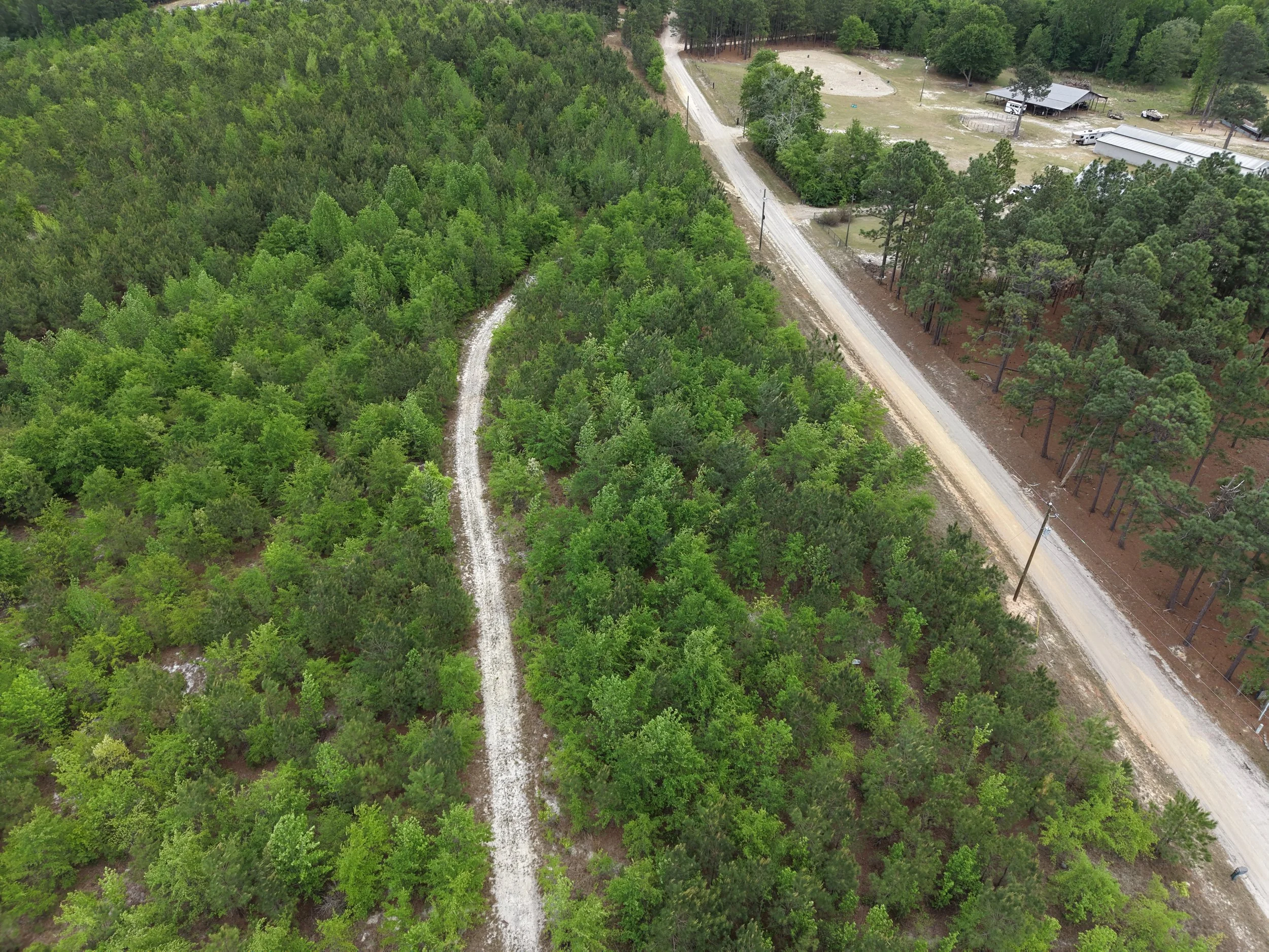 DJI_20260419105254_0031_D.JPG