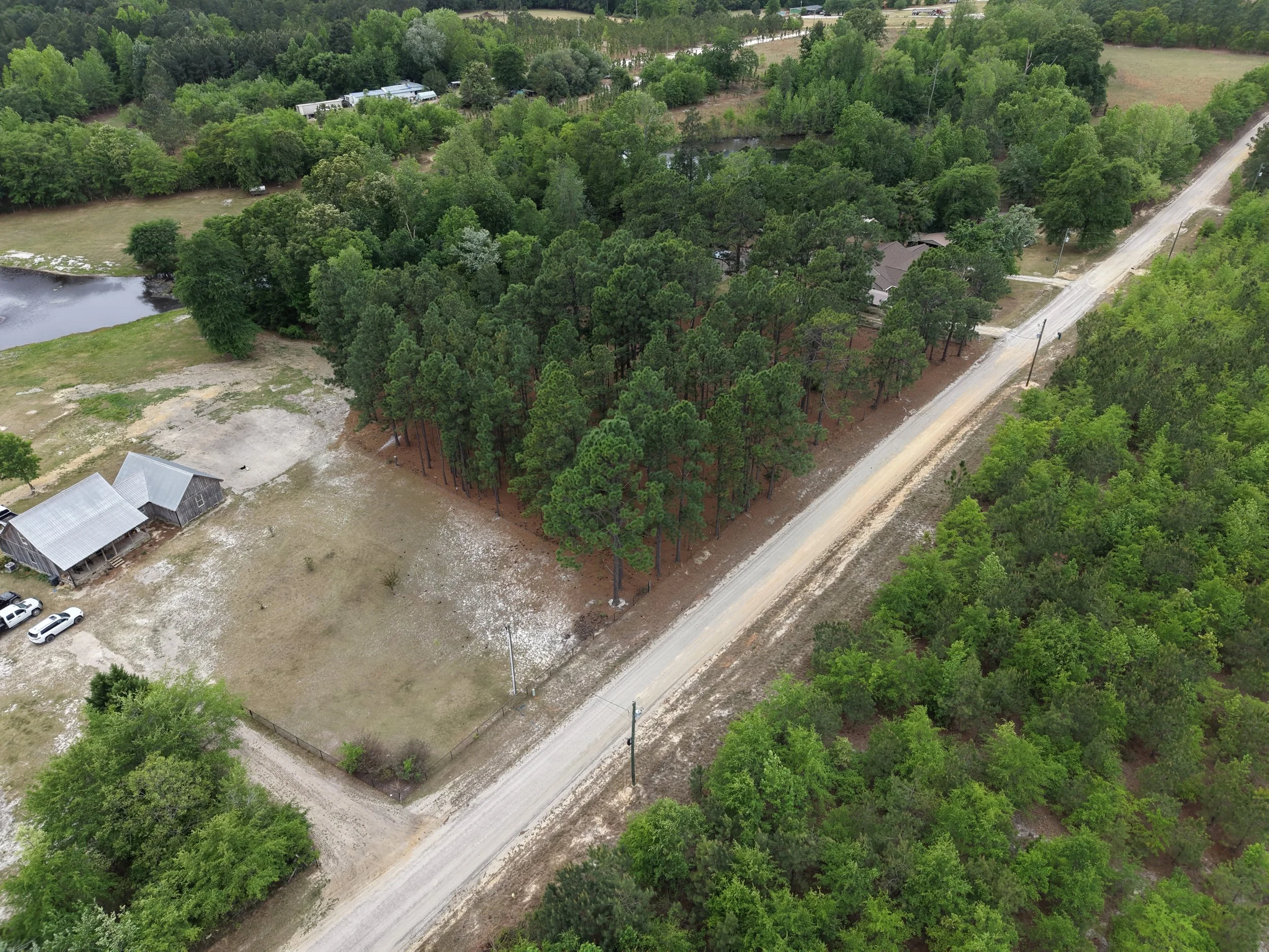 DJI_20260419105314_0036_D.JPG