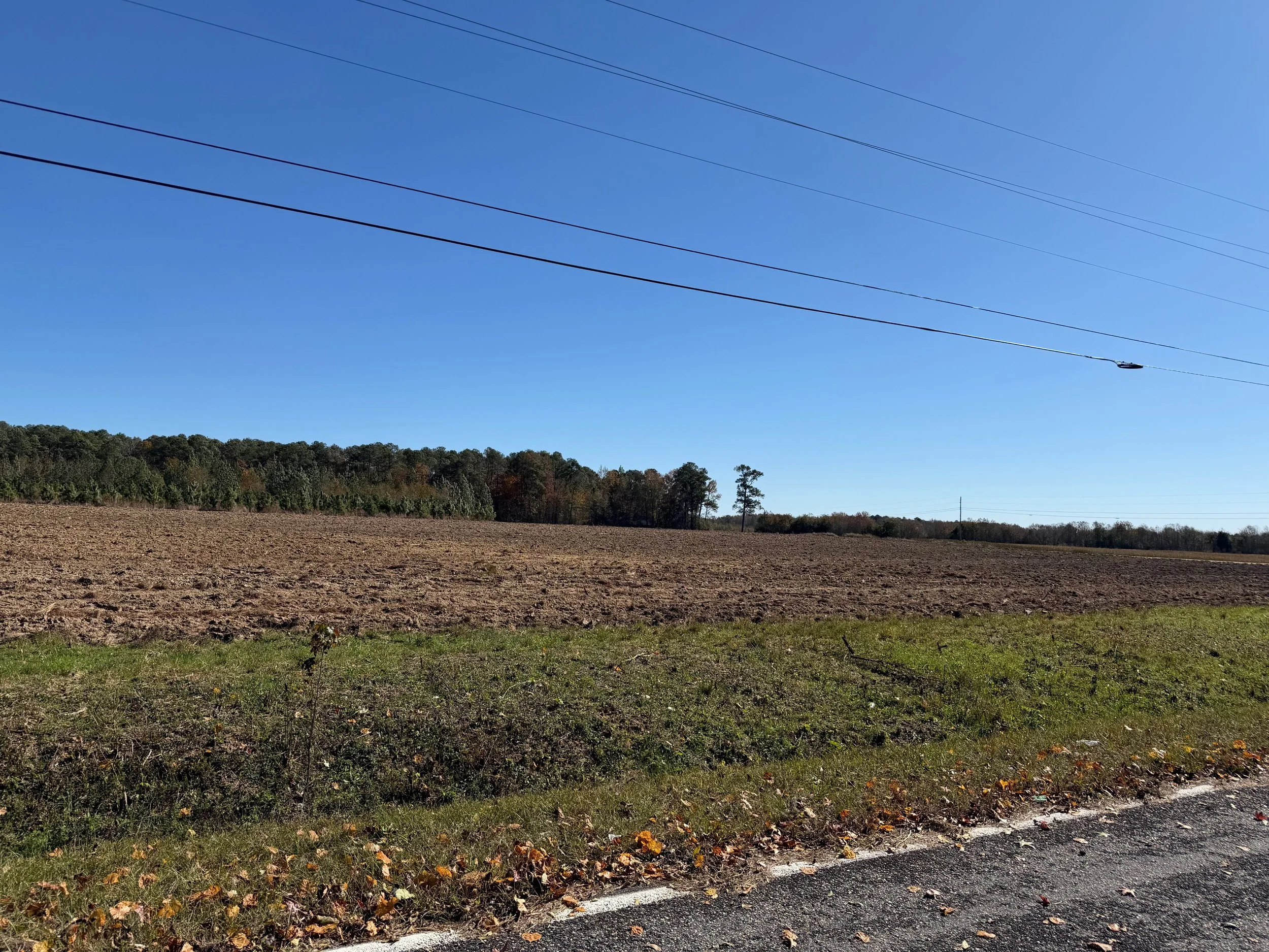 Lot 7 Brickyard Rd. Wallace Sc $22,500 (under contract)