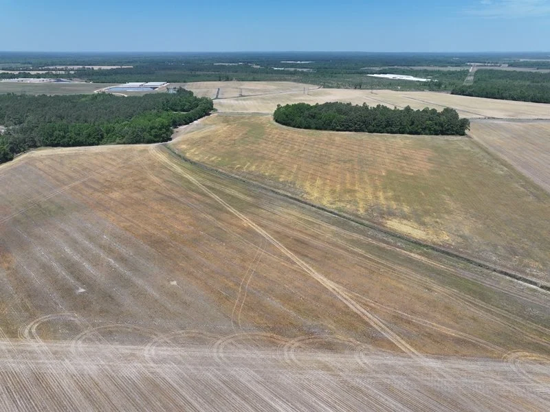 DJI_20260407055739_0766_D.JPG