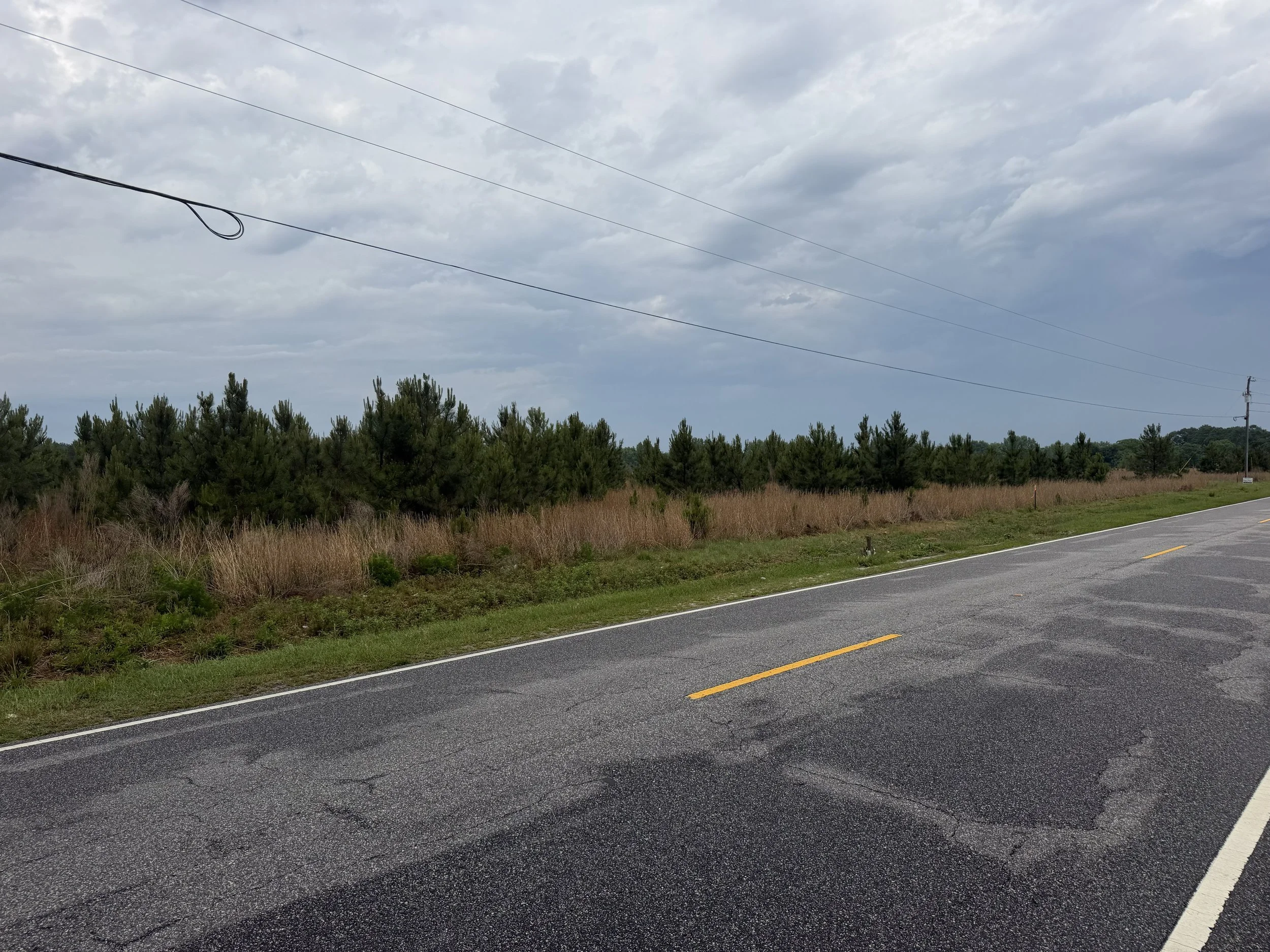 IMG_4467 fairly rd 7 .jpg