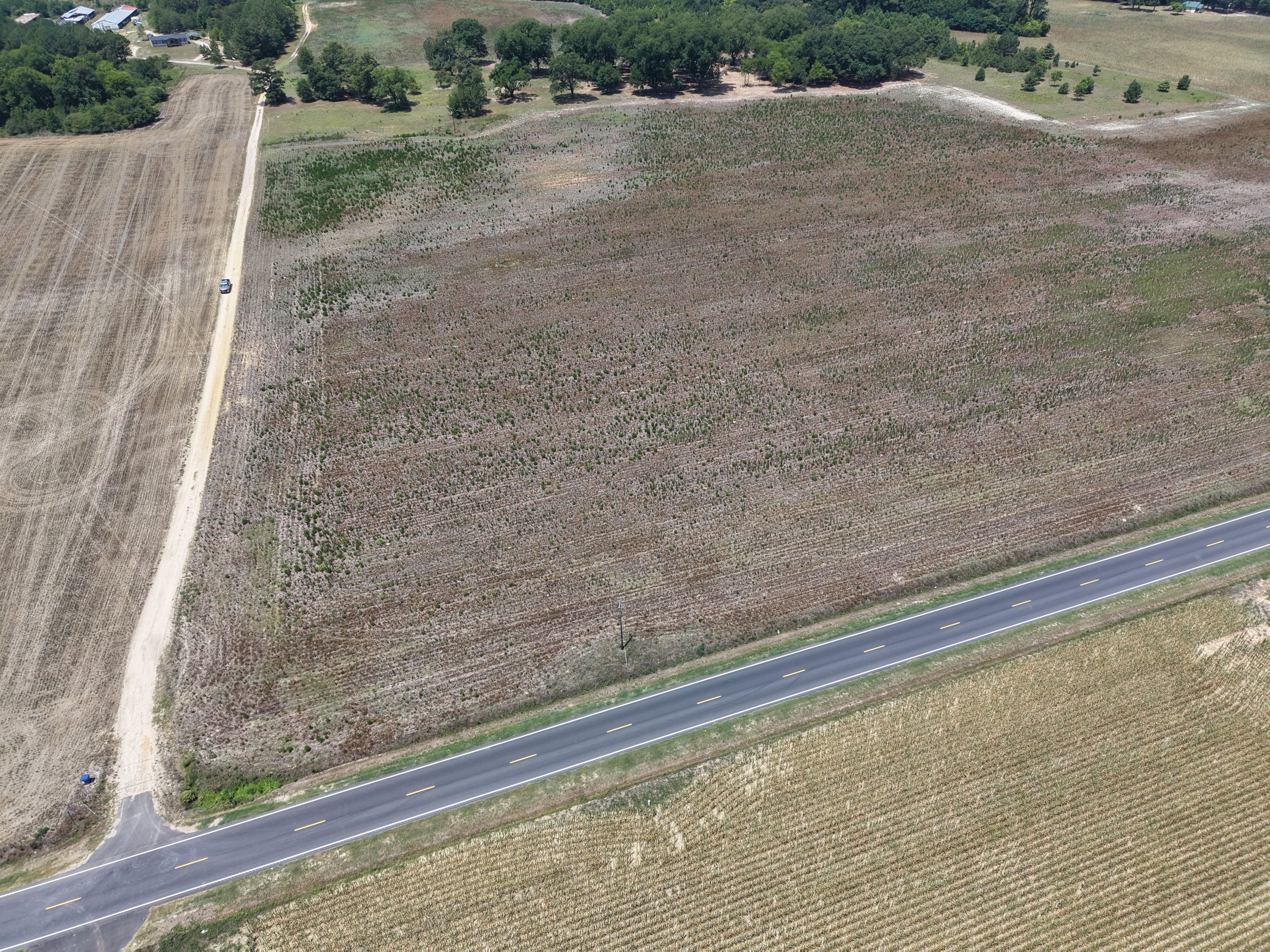 SC 385 Farm Lot 1 (1.22 Acres)