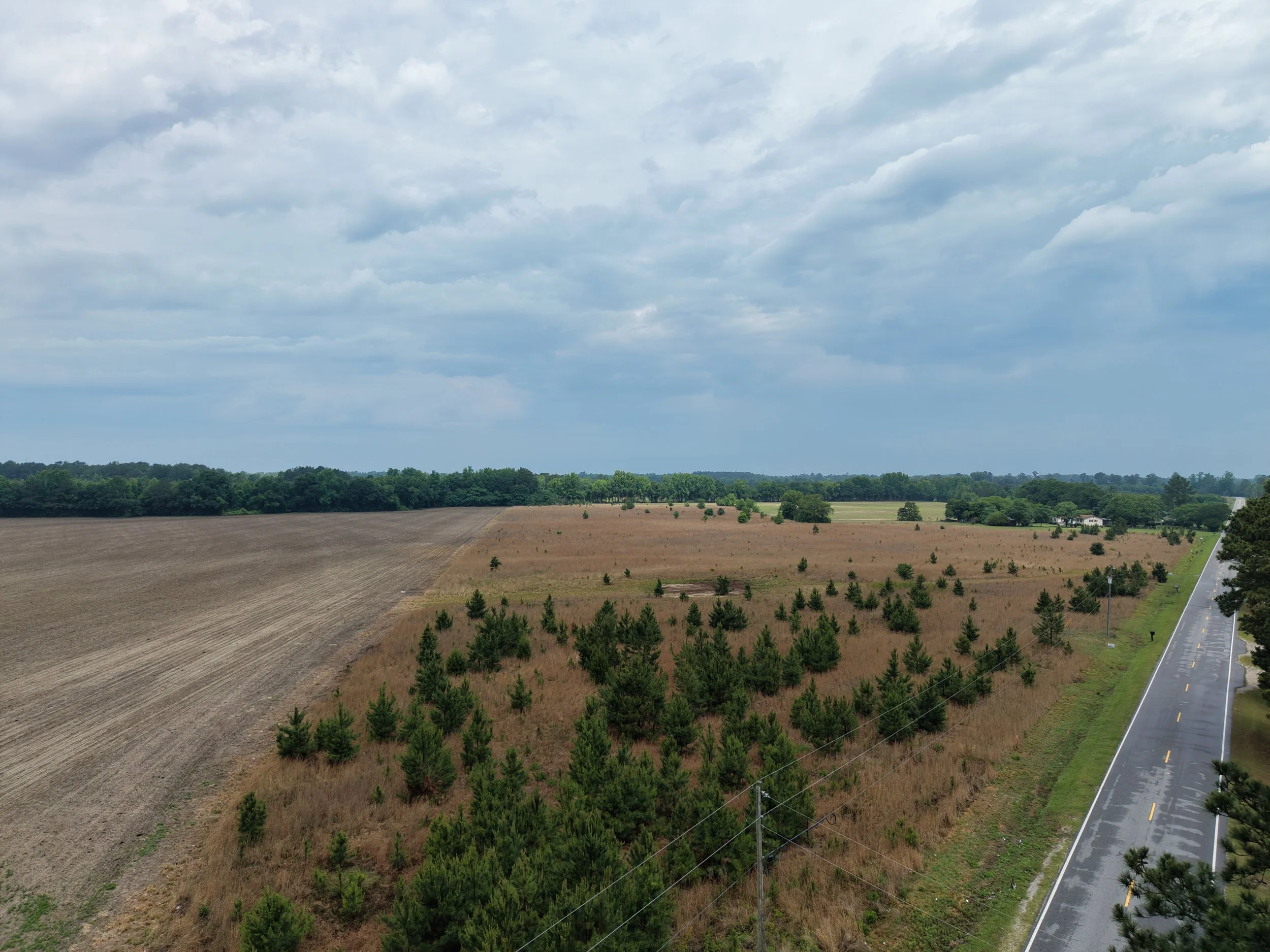 DJI_20260511115618_0299_D.JPG