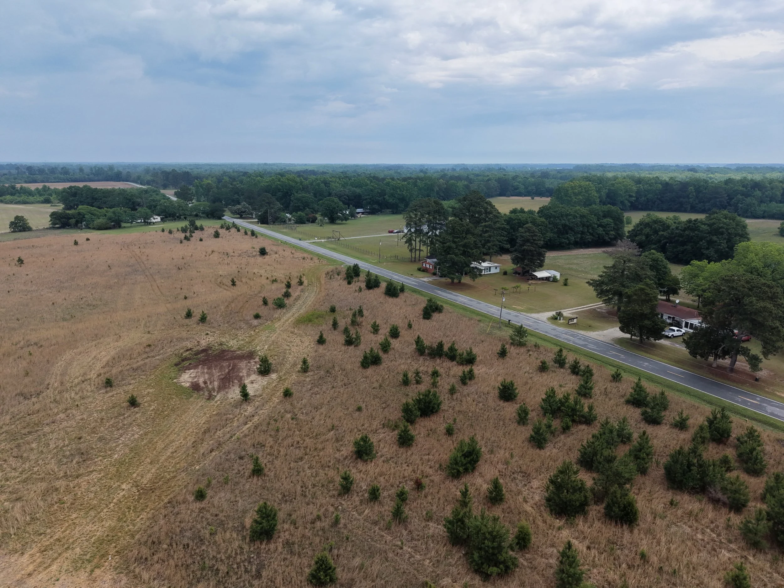 DJI_20260511115954_0337_D.JPG