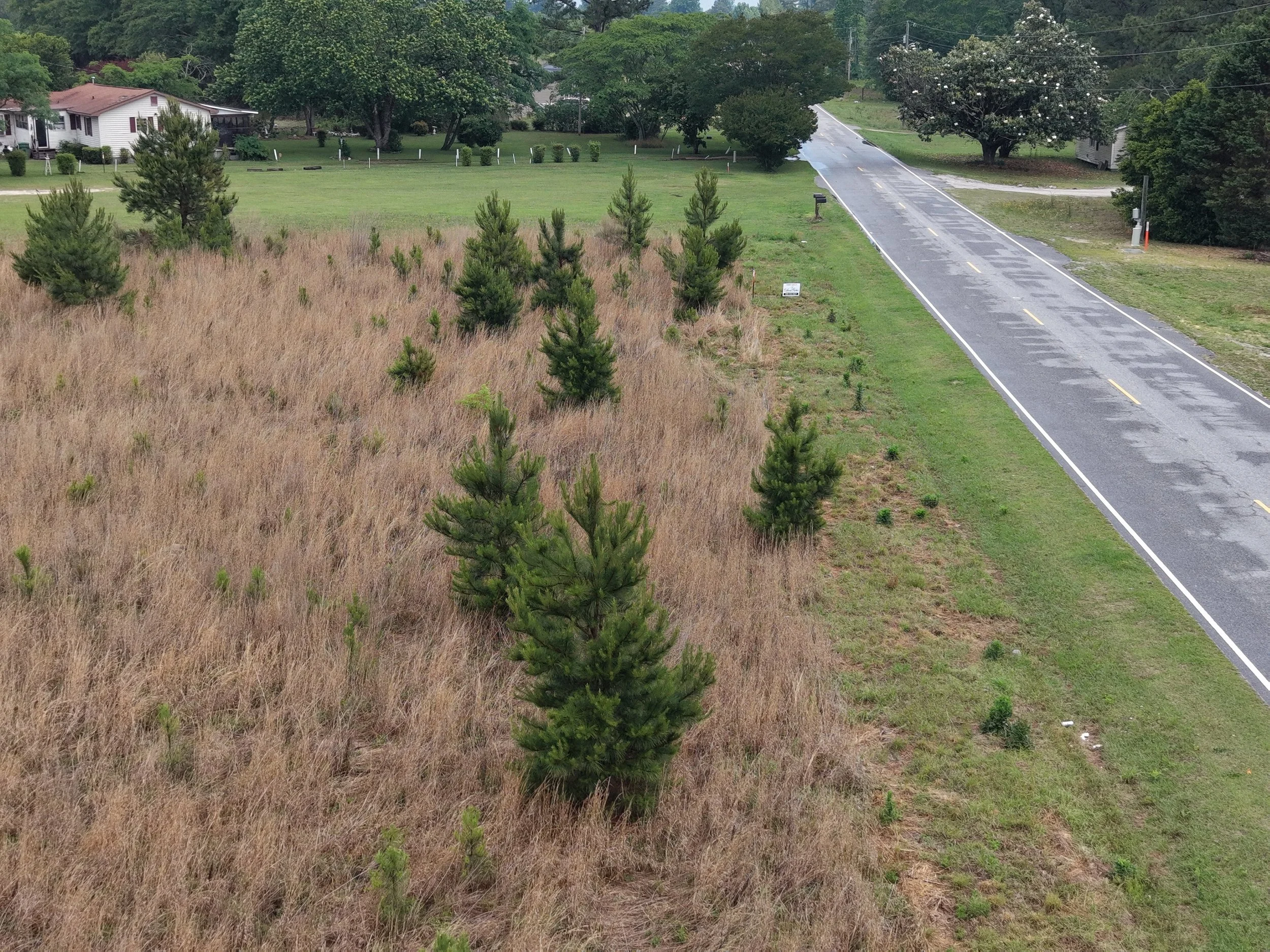 Lot 7 Fairley Rd in Maxton NC. 1.55 Acres