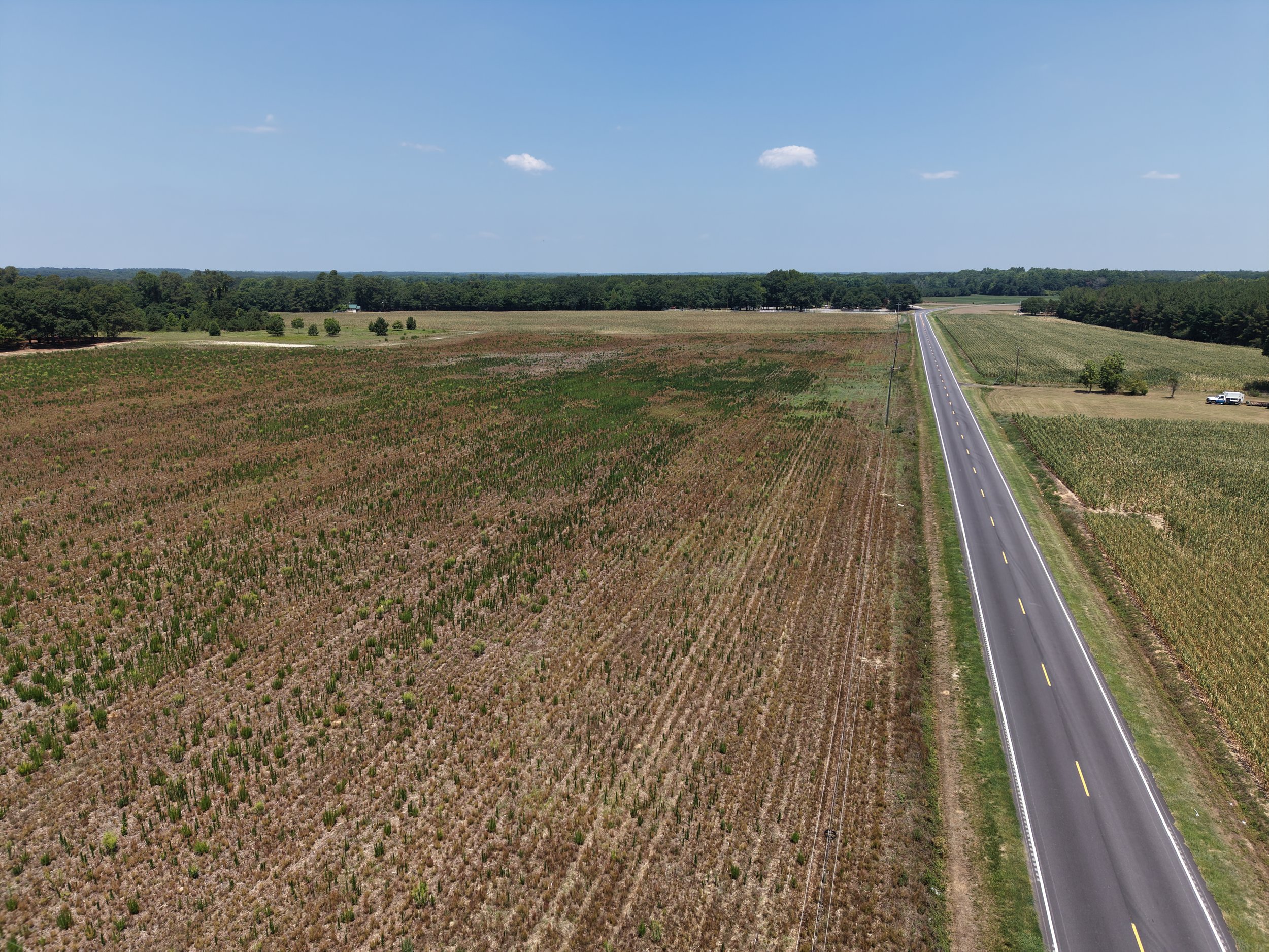 DJI_20260703122509_0786_D.JPG