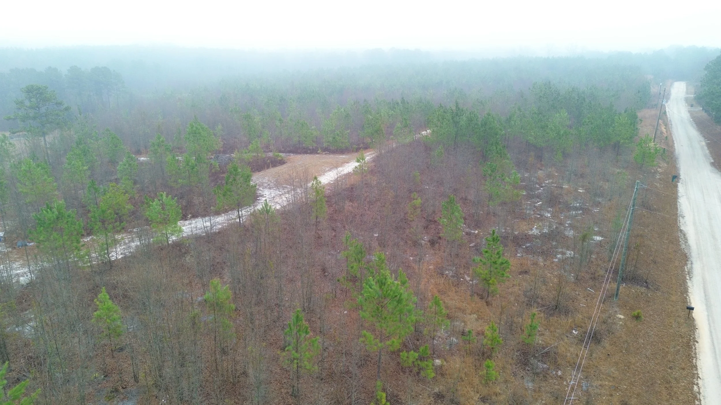 DJI_0567.JPG