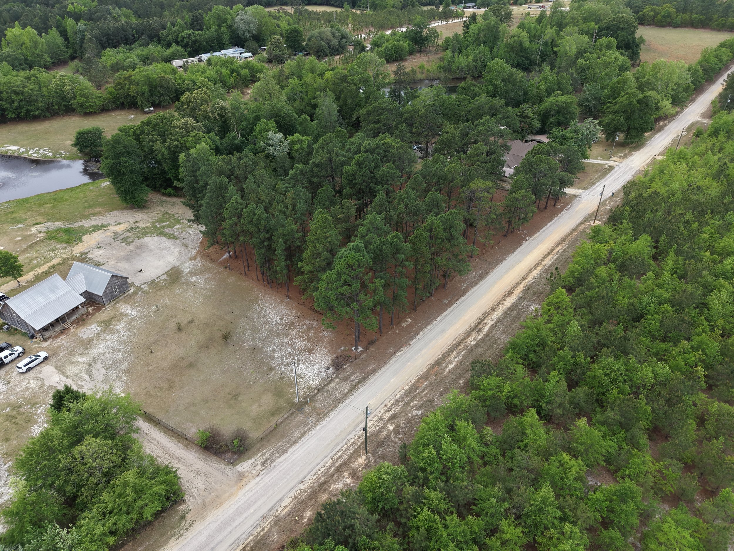 DJI_20260419105314_0036_D.JPG