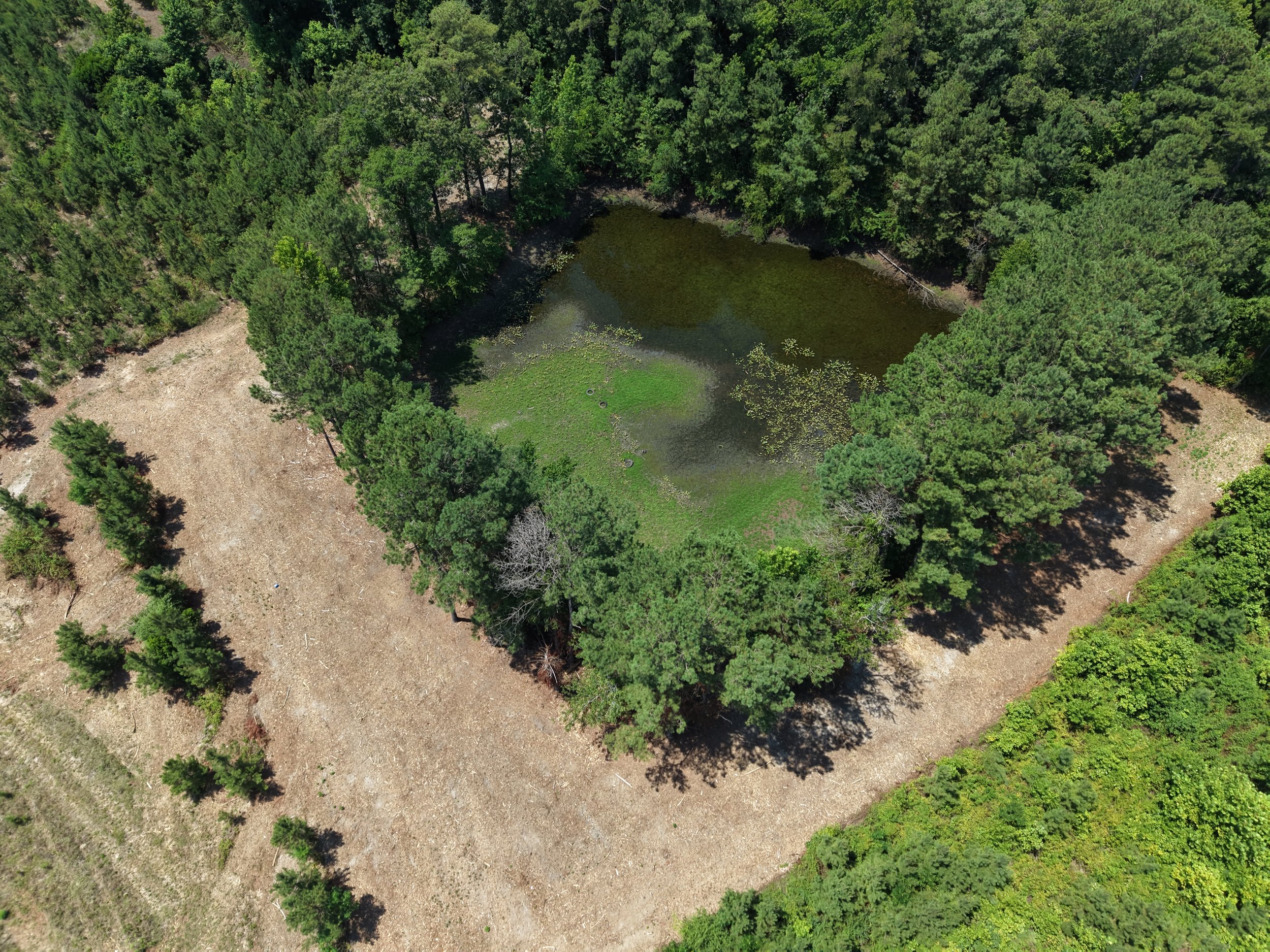 DJI_20260703121200_0741_D.JPG