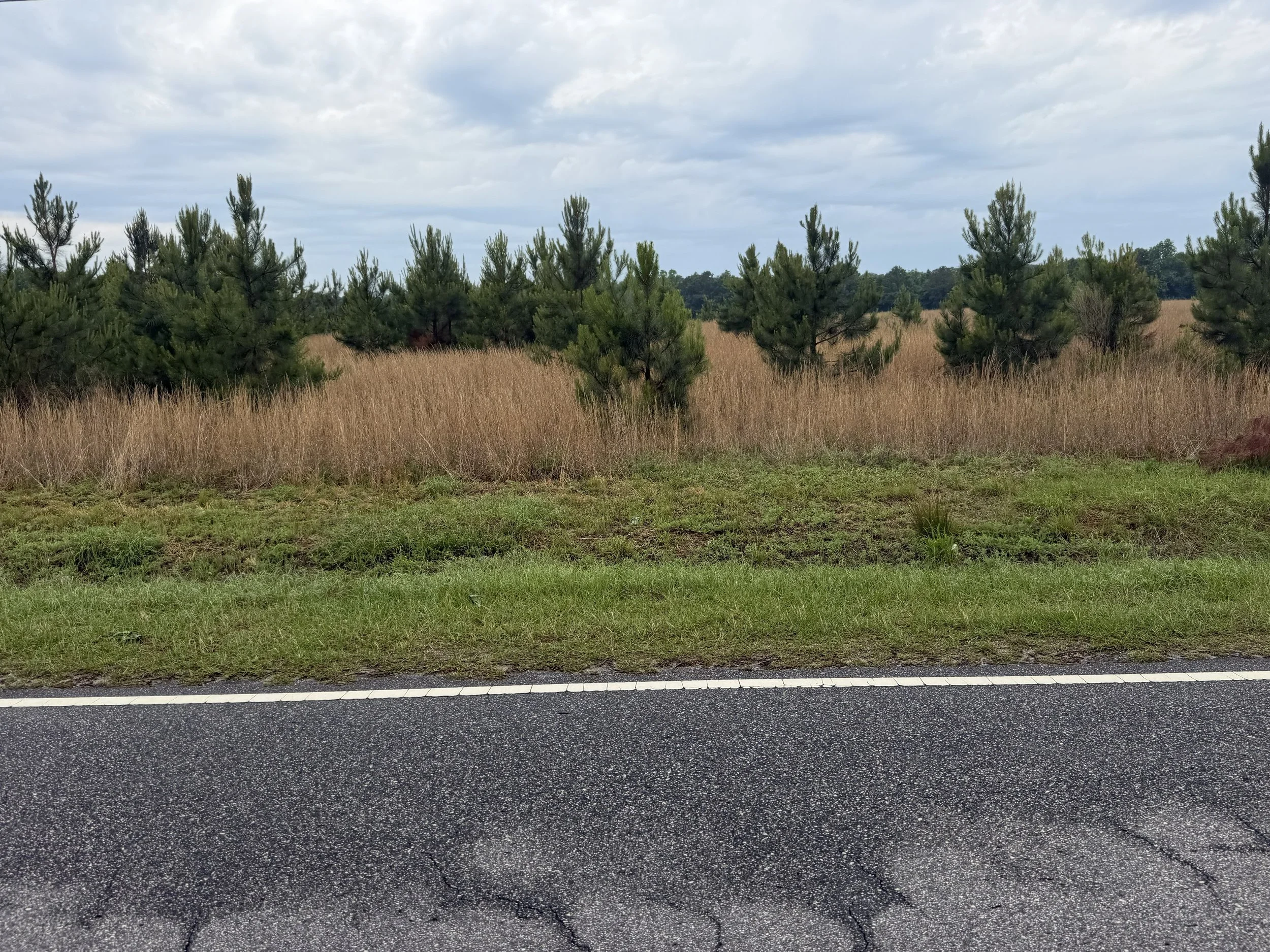 IMG_4477 fairly rd 9.jpg