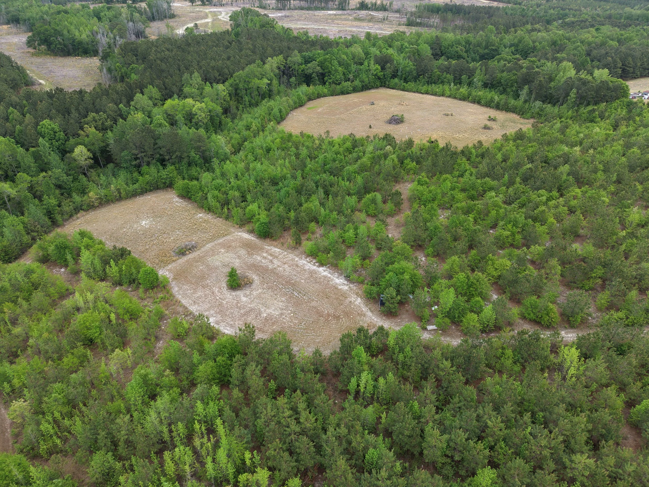 DJI_20260419105346_0044_D.JPG