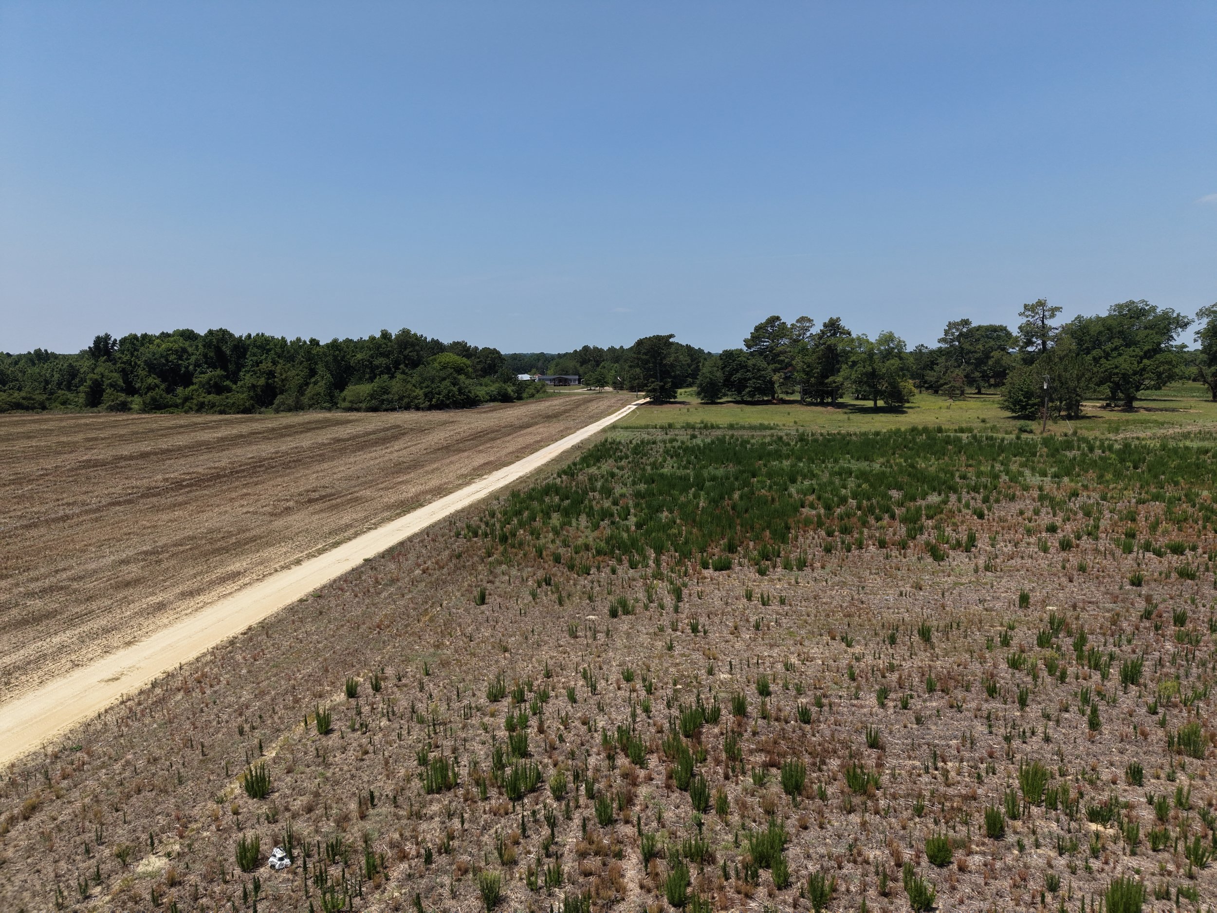 DJI_20260703121431_0776_D.JPG